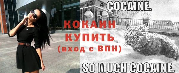 гашик Лиски